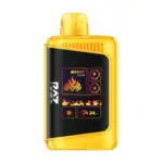 RAZ LTX/DC25000 | 25K Puffs