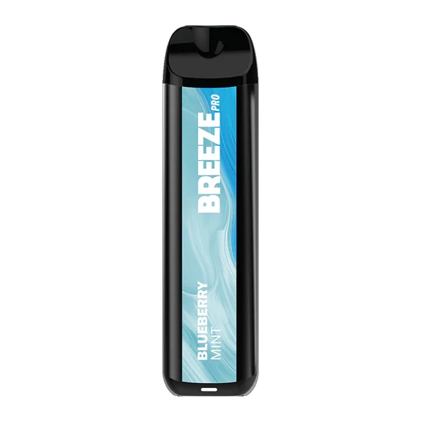 vapes comparable to geek bar Blueberry Mint Breeze Pro